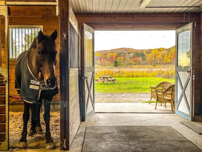 Ferme Équestre Aux Trois Temps - photo 1