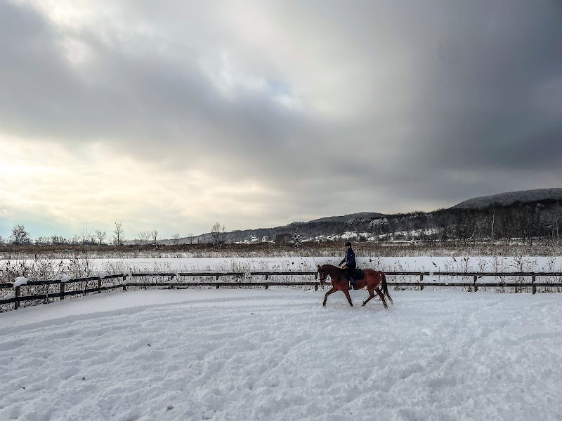 Ferme Équestre Aux Trois Temps - photo 2