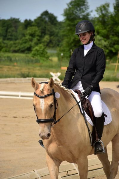 Écurie SunnyBreeze Stable - photo 2