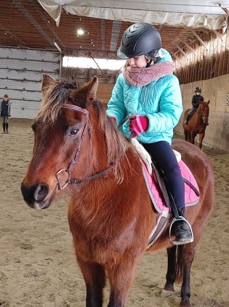 Écurie SunnyBreeze Stable - photo 3