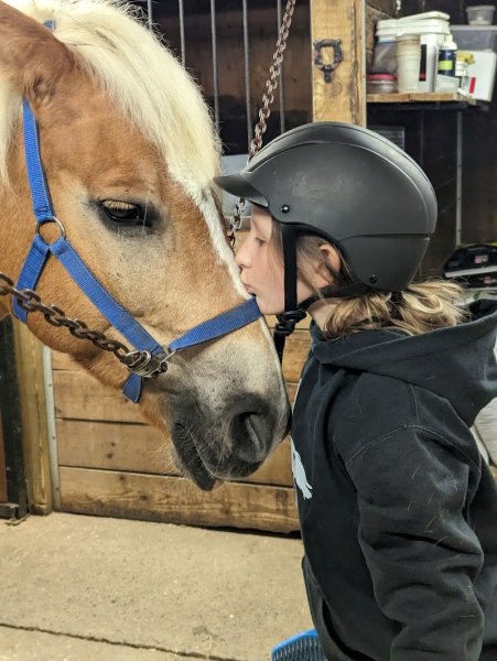 Centre Équestre des Mille-Îles - photo 1