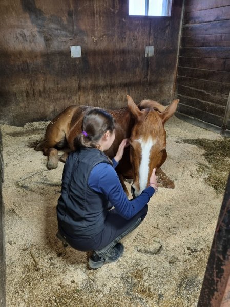 Centre Équestre des Mille-Îles - photo 2
