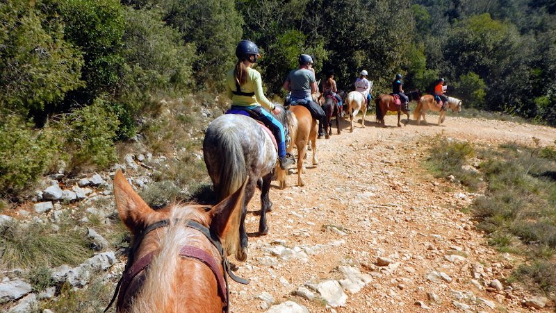 Les Chevaux du Cantaure