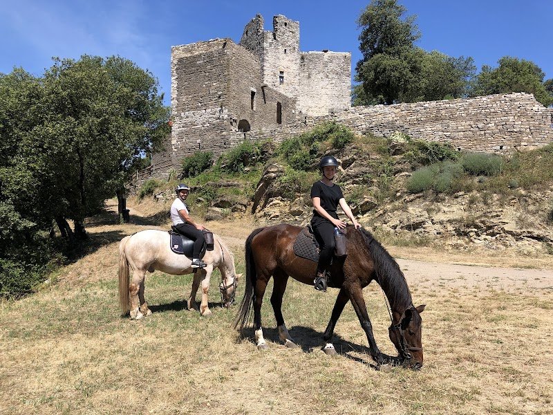 Les Chevaux du Cantaure - photo 2