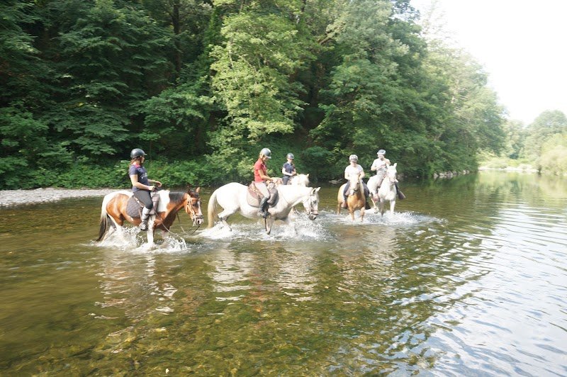 Les Chevaux du Cantaure - photo 3