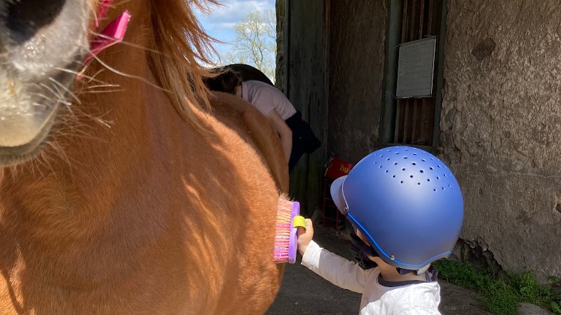 Liés Par Nature - Paddock Paradise, École et Pension