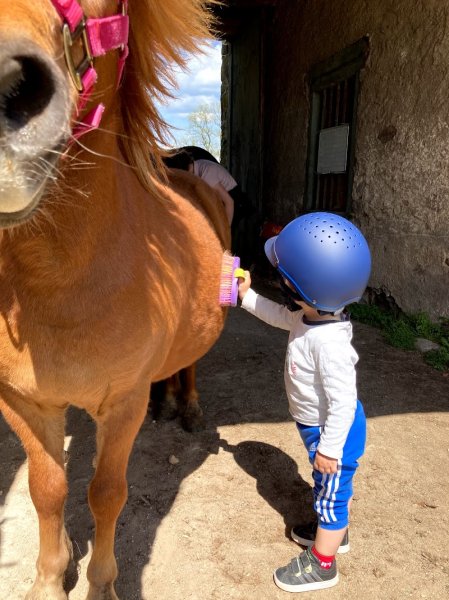Liés Par Nature - Paddock Paradise, École et Pension - photo 2