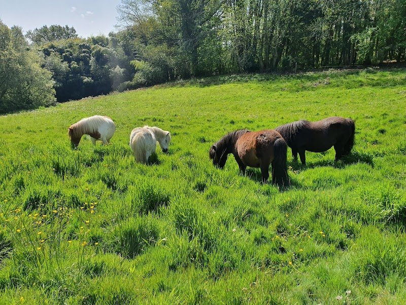 Les Ecuries de Laubanie - photo 2