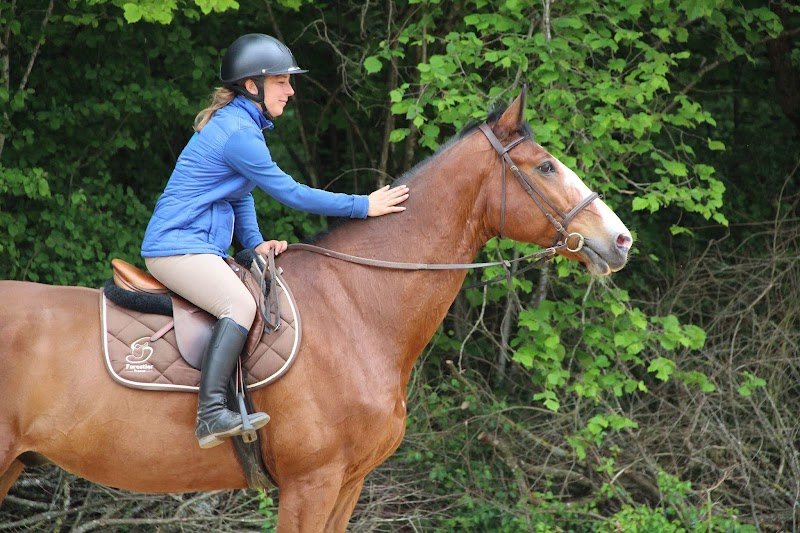 Les Ecuries de Laubanie - photo 3