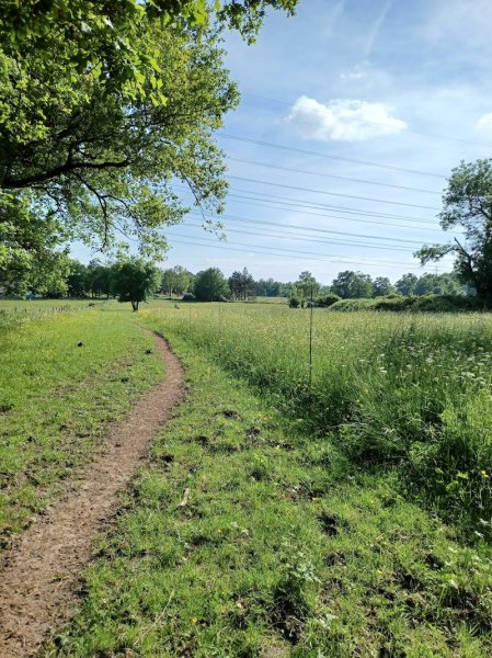 Pension chevaux Les Pres d'Eden - photo 2