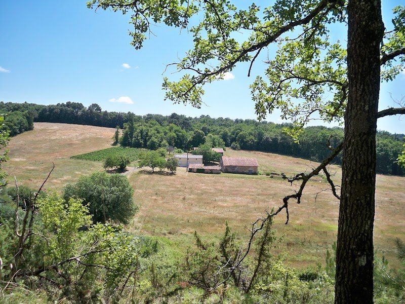 Pension pour chevaux-Éducation du cheval-Enseignement en Dordogne/EARL VARENAS - photo 1