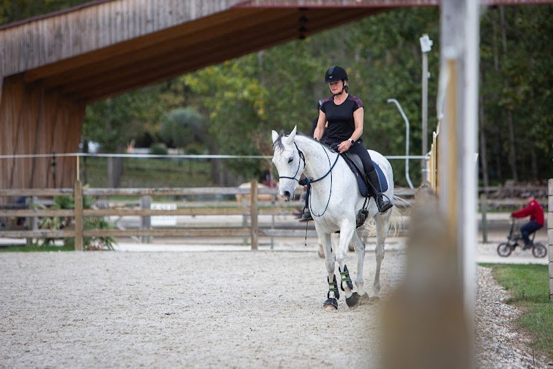 Pension pour chevaux-Éducation du cheval-Enseignement en Dordogne/EARL VARENAS - photo 2