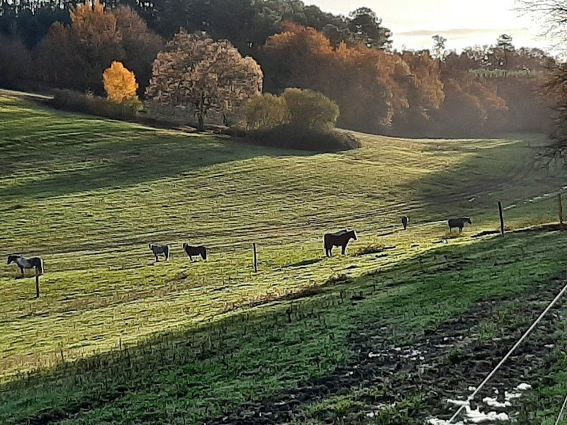 Pension pour chevaux-Éducation du cheval-Enseignement en Dordogne/EARL VARENAS - photo 3