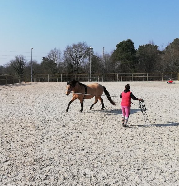 Les Ecuries de Biraval - Ecurie de propriétaires - photo 1