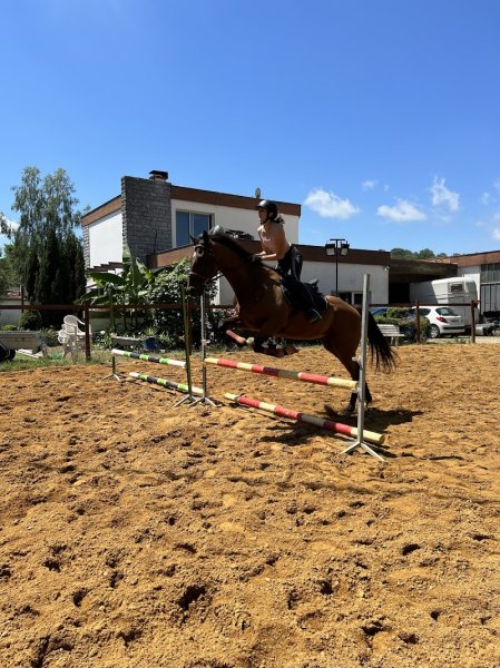 Ecurie Bluzet - photo 2