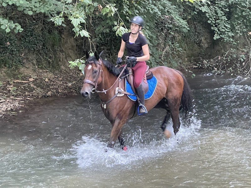 Ecurie Bluzet - photo 3