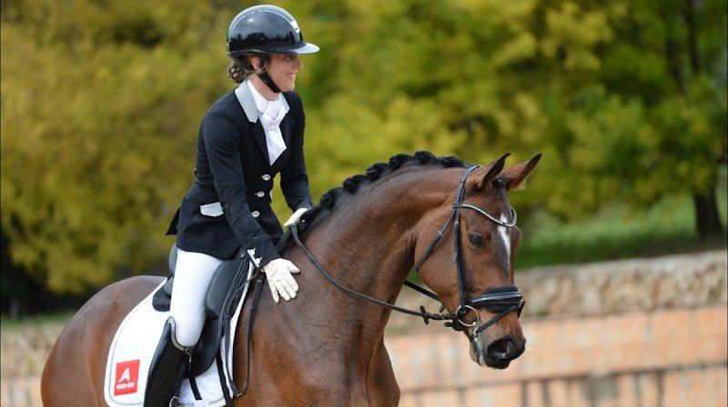 Haras de Jupiter Dressage