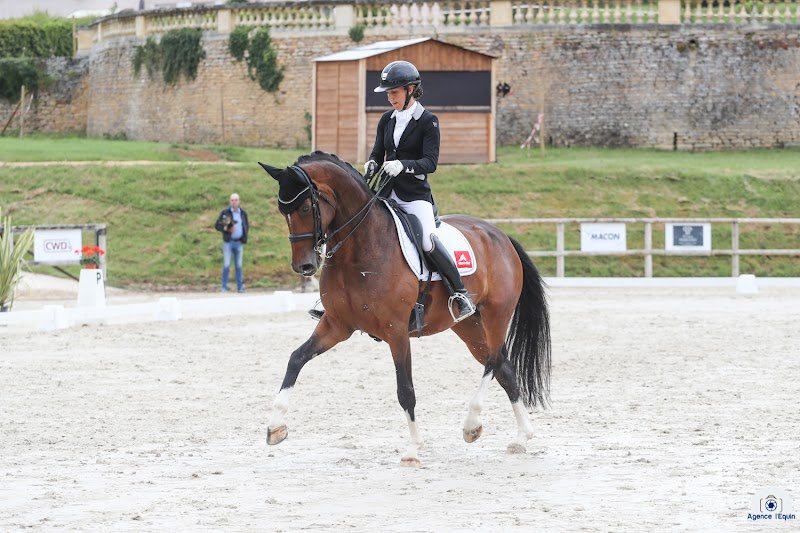 Haras de Jupiter Dressage - photo 2