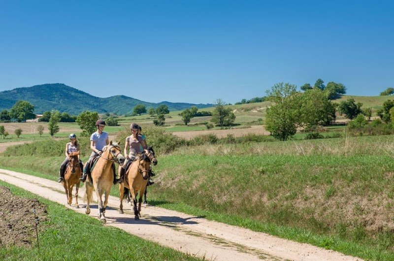 Centre equestre - photo 2