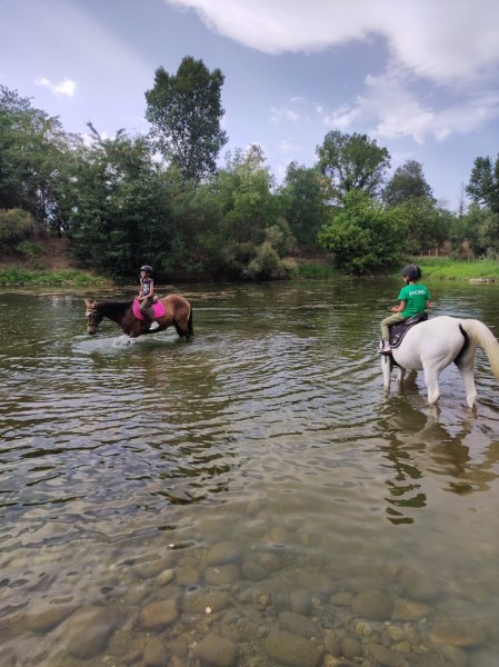 Centre équestre poney club de Bonnemontesse - photo 3