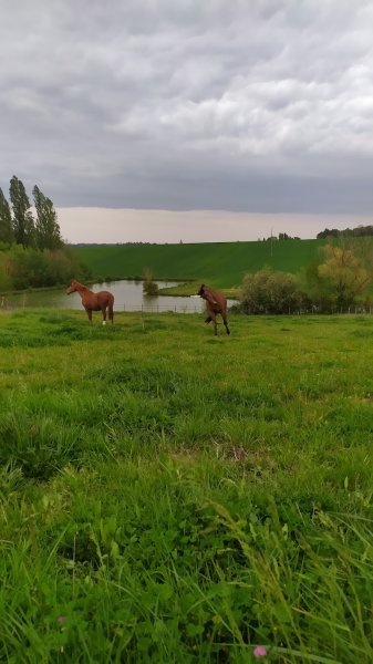 Beaulieu à cheval - photo 2