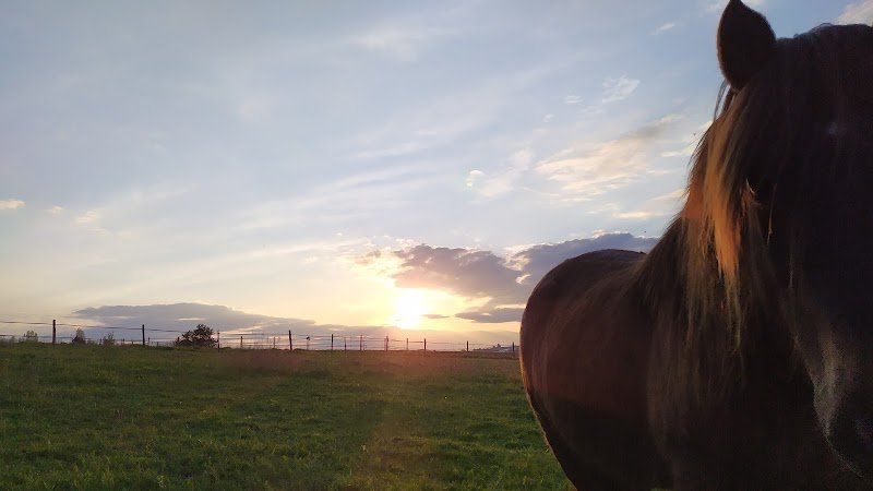 Beaulieu à cheval - photo 3