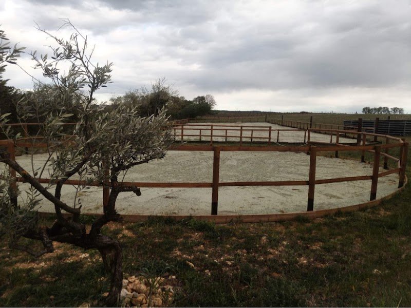 Ecurie domaine de la rouvegade - photo 3