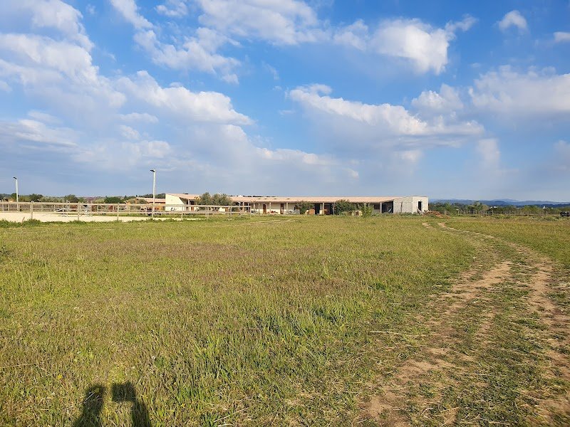 LES ECURIES DU COURCHAMP - photo 3