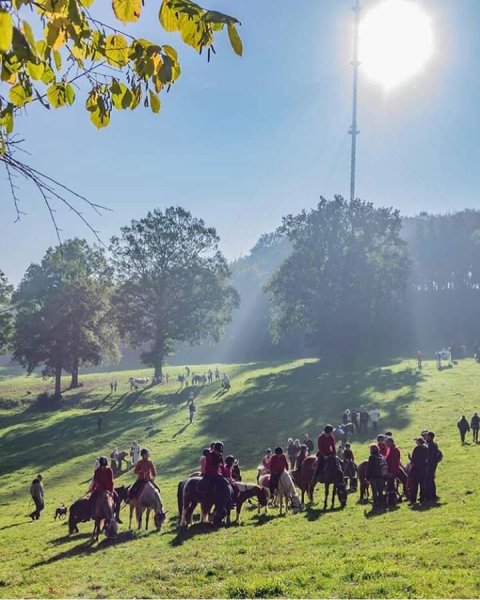Écuries des 3 Monts - photo 2