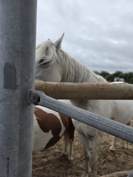 Écuries des 3 Monts - photo 3