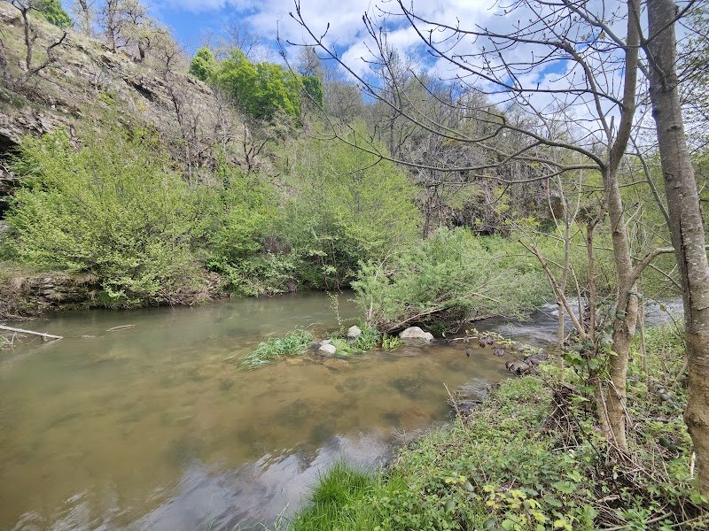 Les chevaux du duzon (gîte) - photo 2