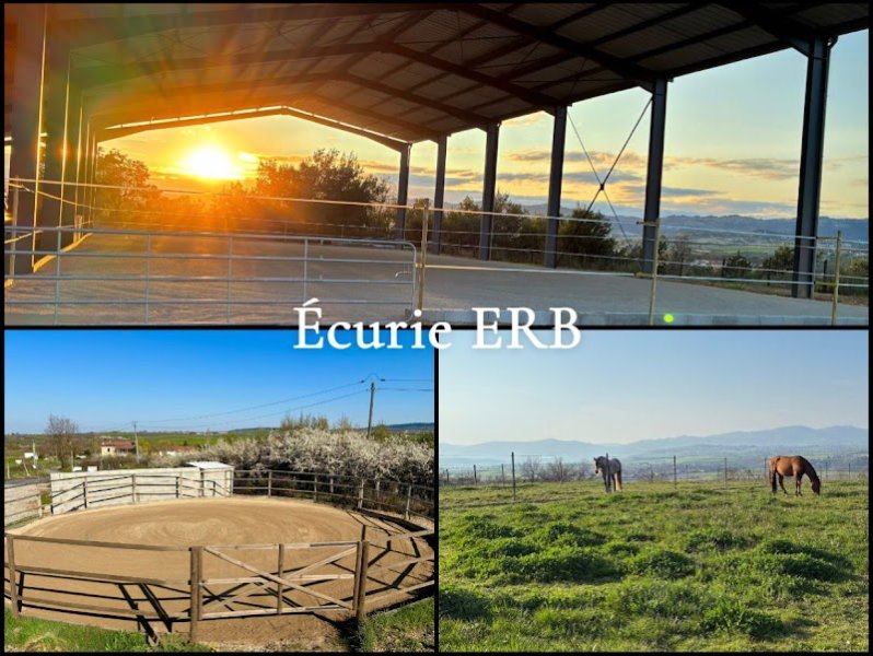 Écurie ERB - photo 1