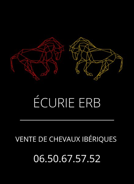 Écurie ERB - photo 3