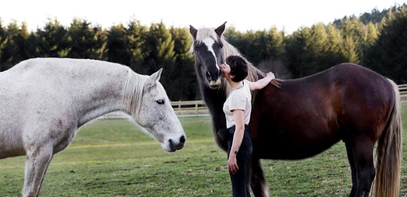 Ferme et Gîte Équestre “L’Oeil d’Orion” - photo 1