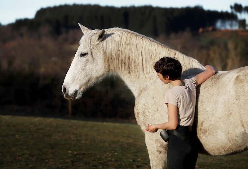 Ferme et Gîte Équestre “L’Oeil d’Orion” - photo 2