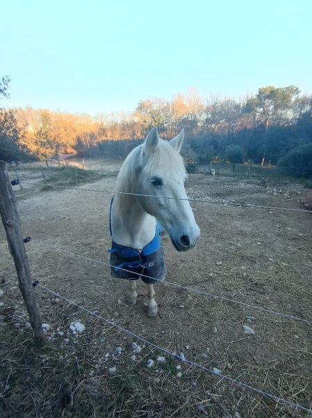 Les écuries de Trouillas