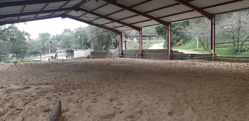 Les écuries de Trouillas - photo 2