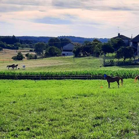 Les écuries de Lumeuil - photo 2