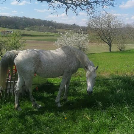 Les écuries de Lumeuil - photo 3