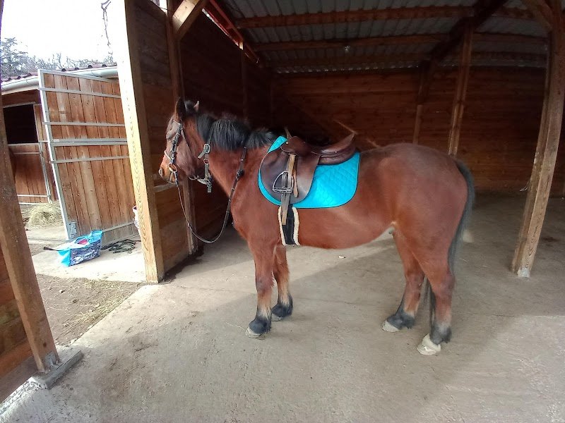 Écurie Pont-Bayard - photo 1