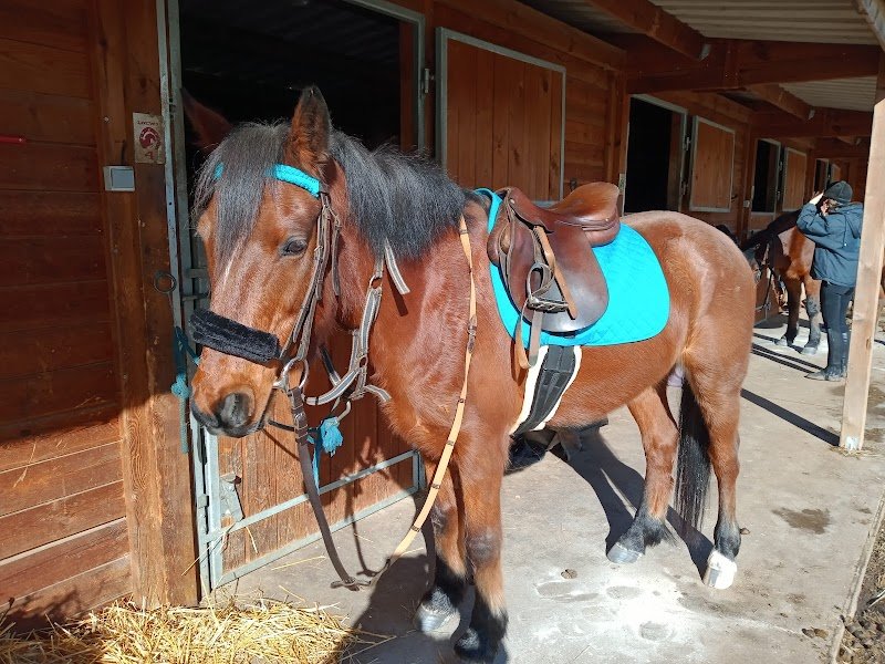 Écurie Pont-Bayard - photo 3