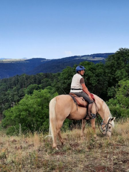 Les Ecuries de l'Aventure, ferme équestre. - photo 2