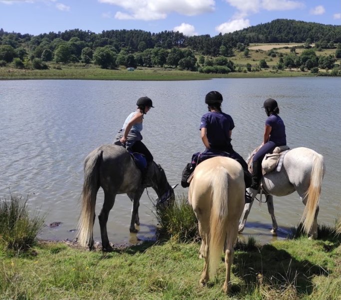 Les Ecuries de l'Aventure, ferme équestre. - photo 3