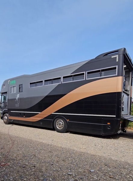 Transit cheval Lyon - photo 3