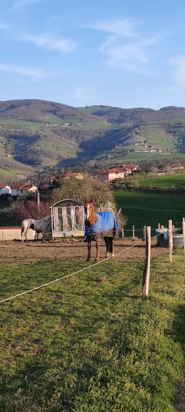 Ecurie du Chambost - photo 2