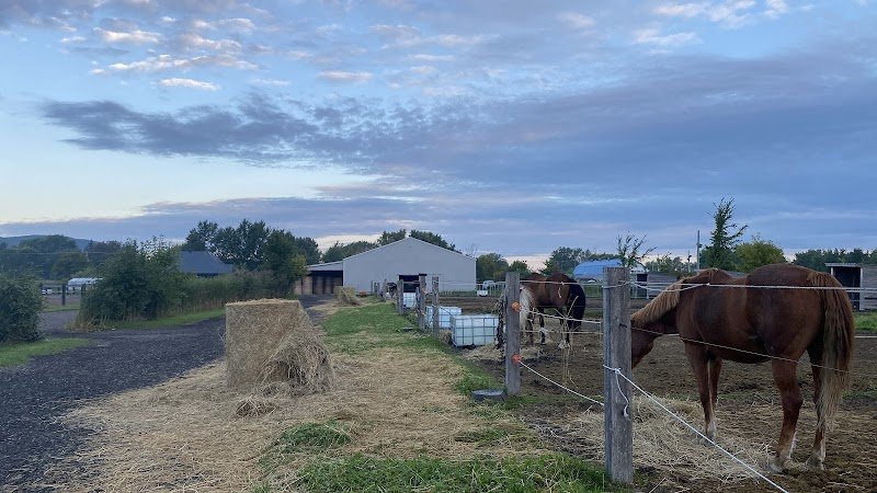 Écurie le Grand Domaine - photo 1