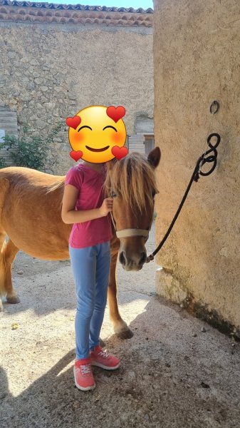 Ecuries Le Peyron - photo 3