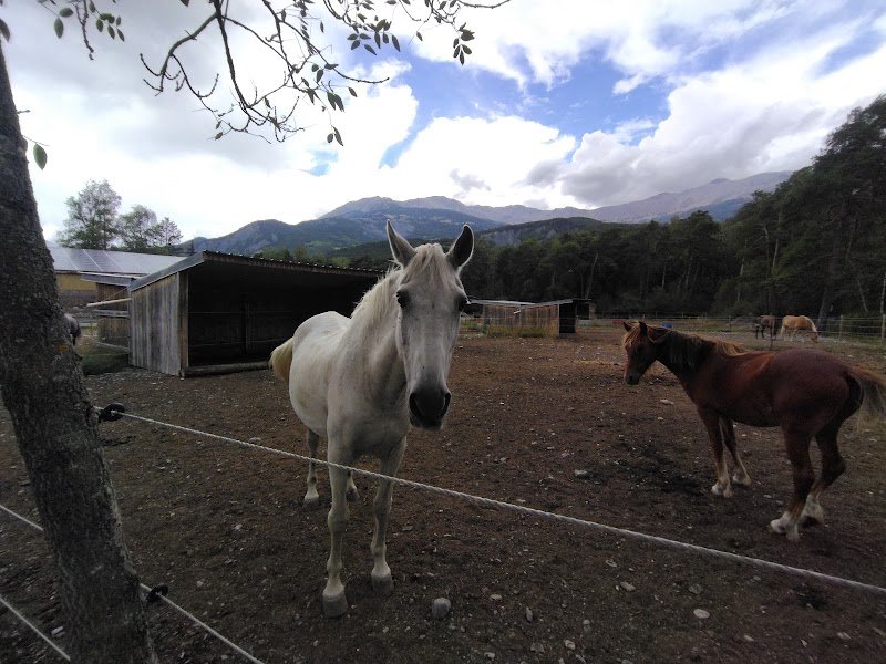 Domaine Equestre de L'Ubaye