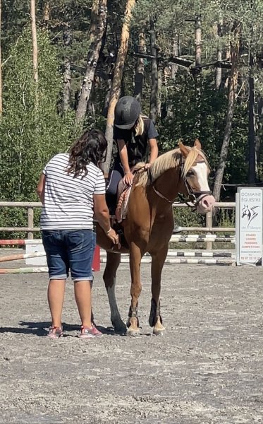 Domaine Equestre de L'Ubaye - photo 3