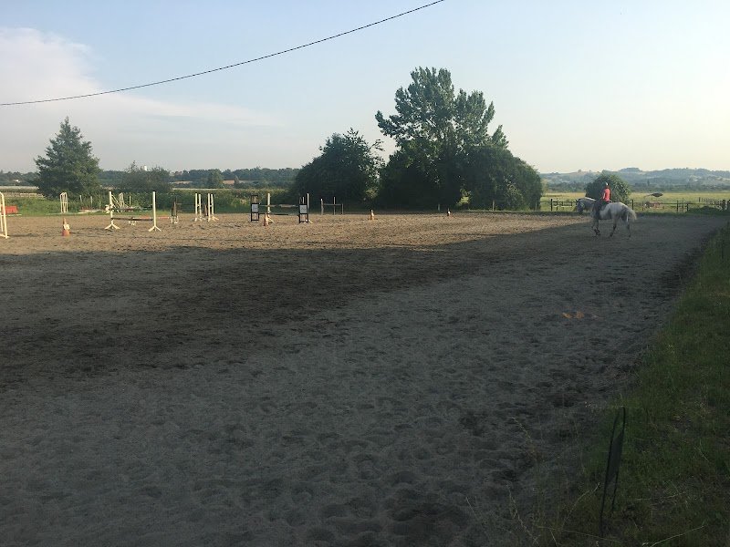 Écurie Pons - Élevage de Bordenave - photo 2